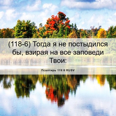 Picture 06 - Псалтирь 119:6 RUSV - (118-6) Тогда я не постыдился - Bible Verse Picture