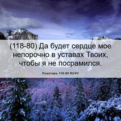 Picture 06 - Псалтирь 119:80 RUSV - (118-80) Да будет сердце мое - Bible Verse Picture