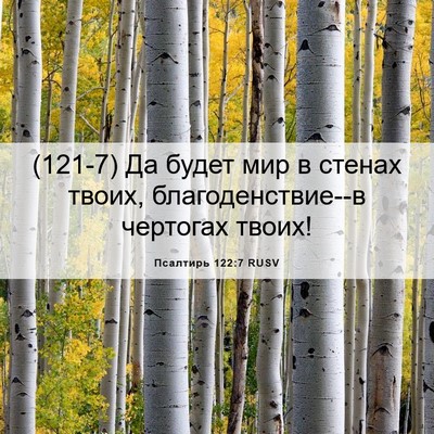 Picture 06 - Псалтирь 122:7 RUSV - (121-7) Да будет мир в стенах - Bible Verse Picture