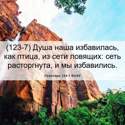Picture 06 - Псалтирь 124:7 RUSV - (123-7) Душа наша избавилась, - Bible Verse Picture