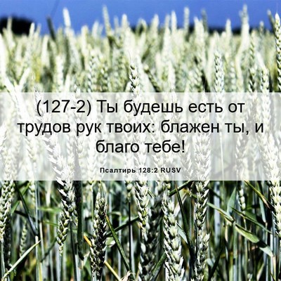 Picture 06 - Псалтирь 128:2 RUSV - (127-2) Ты будешь есть от - Bible Verse Picture