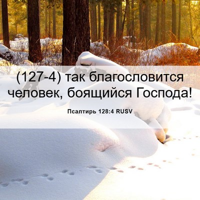 Picture 06 - Псалтирь 128:4 RUSV - (127-4) так благословится - Bible Verse Picture