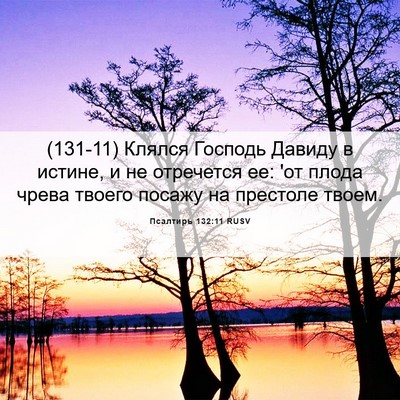 Picture 06 - Псалтирь 132:11 RUSV - (131-11) Клялся Господь Давиду - Bible Verse Picture