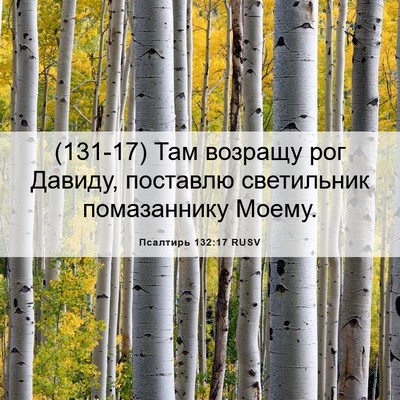 Picture 06 - Псалтирь 132:17 RUSV - (131-17) Там возращу рог - Bible Verse Picture
