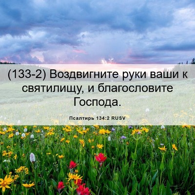 Picture 06 - Псалтирь 134:2 RUSV - (133-2) Воздвигните руки ваши - Bible Verse Picture