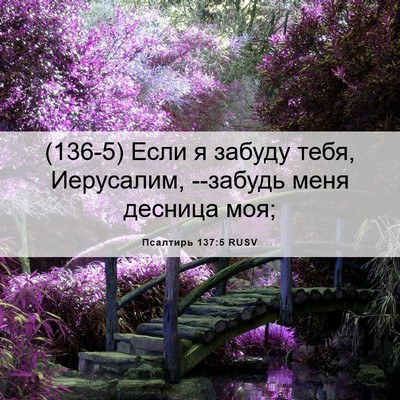 Picture 06 - Псалтирь 137:5 RUSV - (136-5) Если я забуду тебя, - Bible Verse Picture