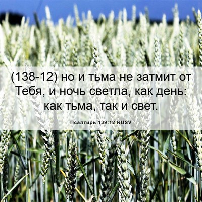 Picture 06 - Псалтирь 139:12 RUSV - (138-12) но и тьма не затмит от - Bible Verse Picture
