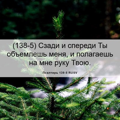 Picture 06 - Псалтирь 139:5 RUSV - (138-5) Сзади и спереди Ты - Bible Verse Picture