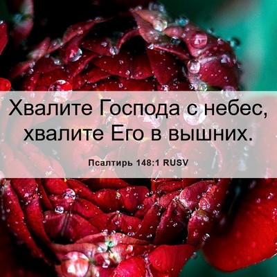 Picture 06 - Псалтирь 148:1 RUSV - Хвалите Господа с небес, - Bible Verse Picture