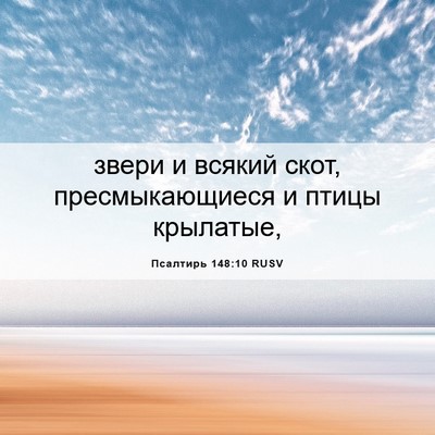 Picture 06 - Псалтирь 148:10 RUSV - звери и всякий скот, - Bible Verse Picture