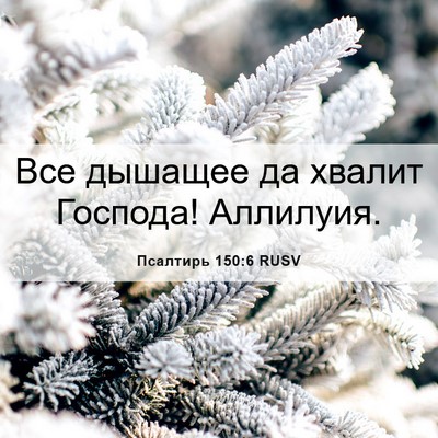Picture 06 - Псалтирь 150:6 RUSV - Все дышащее да хвалит - Bible Verse Picture