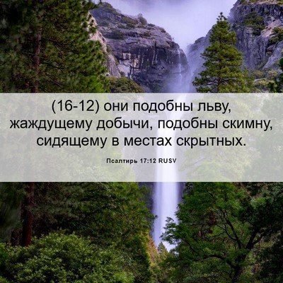 Picture 06 - Псалтирь 17:12 RUSV - (16-12) они подобны льву, - Bible Verse Picture