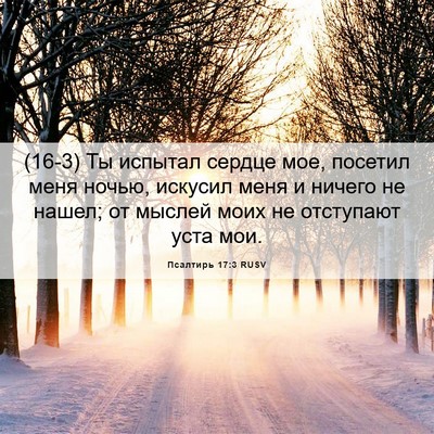 Picture 06 - Псалтирь 17:3 RUSV - (16-3) Ты испытал сердце мое, - Bible Verse Picture