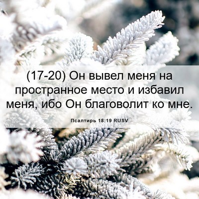 Picture 06 - Псалтирь 18:19 RUSV - (17-20) Он вывел меня на - Bible Verse Picture