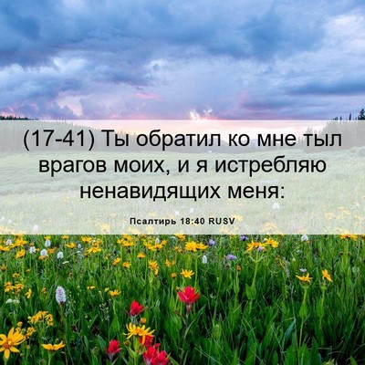 Picture 06 - Псалтирь 18:40 RUSV - (17-41) Ты обратил ко мне тыл - Bible Verse Picture