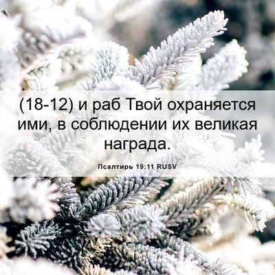 Picture 06 - Псалтирь 19:11 RUSV - (18-12) и раб Твой охраняется - Bible Verse Picture