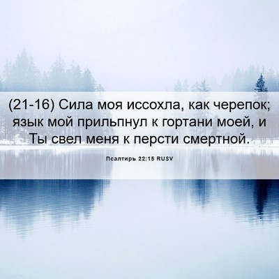 Picture 06 - Псалтирь 22:15 RUSV - (21-16) Сила моя иссохла, как - Bible Verse Picture