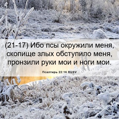 Picture 06 - Псалтирь 22:16 RUSV - (21-17) Ибо псы окружили меня, - Bible Verse Picture