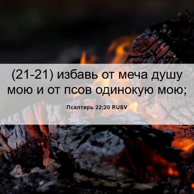 Picture 06 - Псалтирь 22:20 RUSV - (21-21) избавь от меча душу - Bible Verse Picture