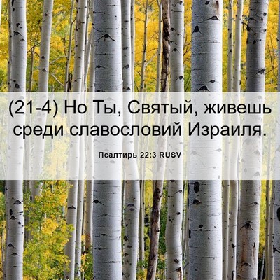 Picture 06 - Псалтирь 22:3 RUSV - (21-4) Но Ты, Святый, живешь - Bible Verse Picture