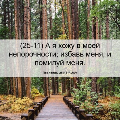 Picture 06 - Псалтирь 26:11 RUSV - (25-11) А я хожу в моей - Bible Verse Picture
