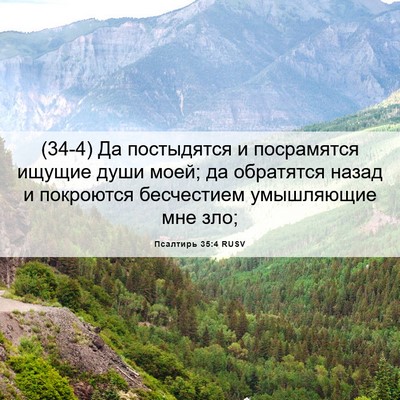 Picture 06 - Псалтирь 35:4 RUSV - (34-4) Да постыдятся и - Bible Verse Picture