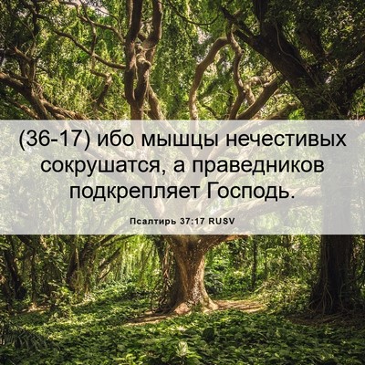 Picture 06 - Псалтирь 37:17 RUSV - (36-17) ибо мышцы нечестивых - Bible Verse Picture