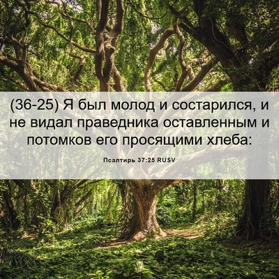 Picture 06 - Псалтирь 37:25 RUSV - (36-25) Я был молод и - Bible Verse Picture