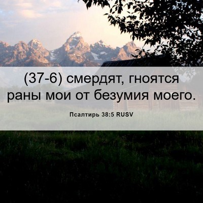 Picture 06 - Псалтирь 38:5 RUSV - (37-6) смердят, гноятся раны - Bible Verse Picture