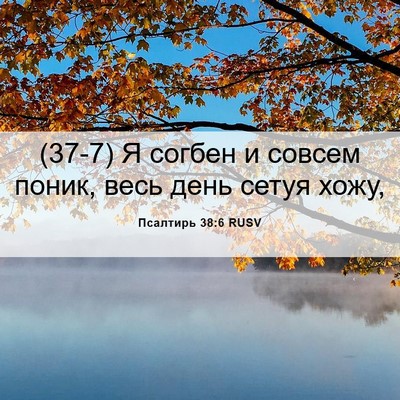 Picture 06 - Псалтирь 38:6 RUSV - (37-7) Я согбен и совсем - Bible Verse Picture