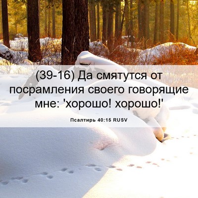 Picture 06 - Псалтирь 40:15 RUSV - (39-16) Да смятутся от - Bible Verse Picture