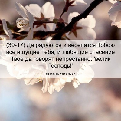 Picture 06 - Псалтирь 40:16 RUSV - (39-17) Да радуются и - Bible Verse Picture