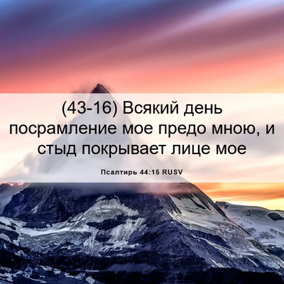 Picture 06 - Псалтирь 44:15 RUSV - (43-16) Всякий день - Bible Verse Picture