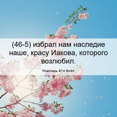 Picture 06 - Псалтирь 47:4 RUSV - (46-5) избрал нам наследие - Bible Verse Picture