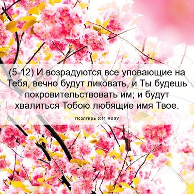 Picture 06 - Псалтирь 5:11 RUSV - (5-12) И возрадуются все - Bible Verse Picture