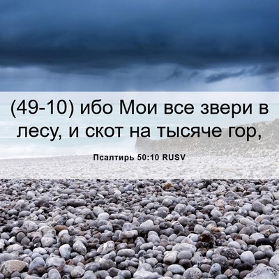 Picture 06 - Псалтирь 50:10 RUSV - (49-10) ибо Мои все звери в - Bible Verse Picture