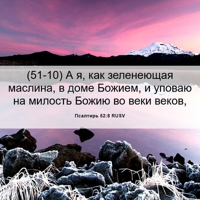 Picture 06 - Псалтирь 52:8 RUSV - (51-10) А я, как зеленеющая - Bible Verse Picture