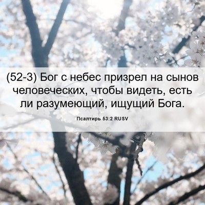 Picture 06 - Псалтирь 53:2 RUSV - (52-3) Бог с небес призрел на - Bible Verse Picture
