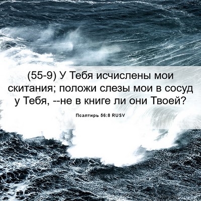 Picture 06 - Псалтирь 56:8 RUSV - (55-9) У Тебя исчислены мои - Bible Verse Picture