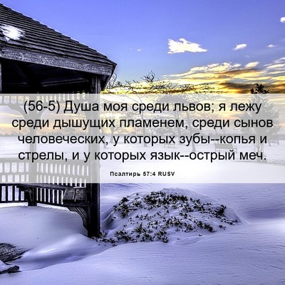 Picture 06 - Псалтирь 57:4 RUSV - (56-5) Душа моя среди львов; я - Bible Verse Picture