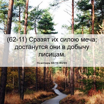 Picture 06 - Псалтирь 63:10 RUSV - (62-11) Сразят их силою меча; - Bible Verse Picture