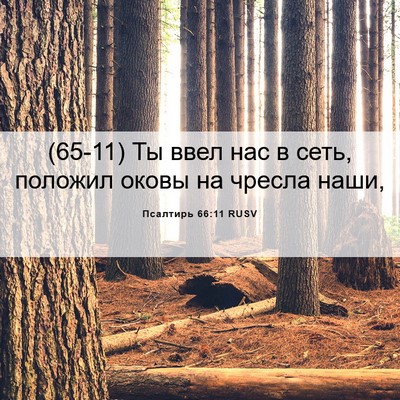 Picture 06 - Псалтирь 66:11 RUSV - (65-11) Ты ввел нас в сеть, - Bible Verse Picture