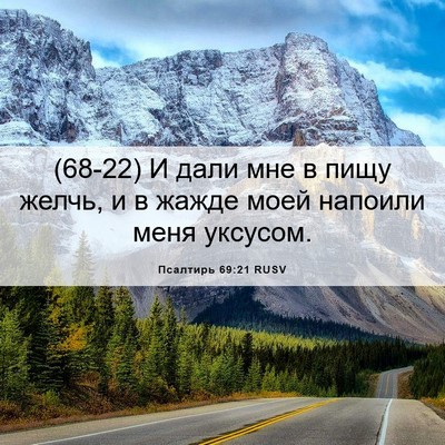 Picture 06 - Псалтирь 69:21 RUSV - (68-22) И дали мне в пищу - Bible Verse Picture