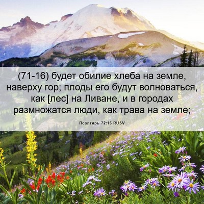 Picture 06 - Псалтирь 72:16 RUSV - (71-16) будет обилие хлеба на - Bible Verse Picture