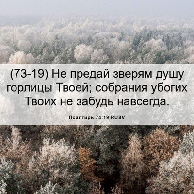 Picture 06 - Псалтирь 74:19 RUSV - (73-19) Не предай зверям душу - Bible Verse Picture