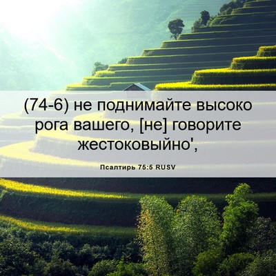 Picture 06 - Псалтирь 75:5 RUSV - (74-6) не поднимайте высоко - Bible Verse Picture