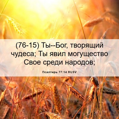 Picture 06 - Псалтирь 77:14 RUSV - (76-15) Ты--Бог, творящий - Bible Verse Picture