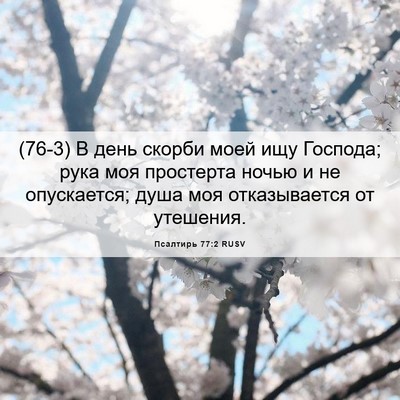 Picture 06 - Псалтирь 77:2 RUSV - (76-3) В день скорби моей ищу - Bible Verse Picture