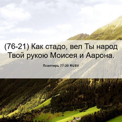 Picture 06 - Псалтирь 77:20 RUSV - (76-21) Как стадо, вел Ты народ - Bible Verse Picture