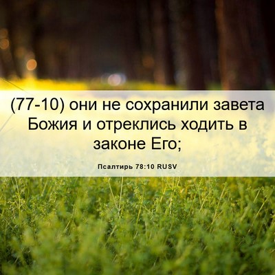 Picture 06 - Псалтирь 78:10 RUSV - (77-10) они не сохранили - Bible Verse Picture